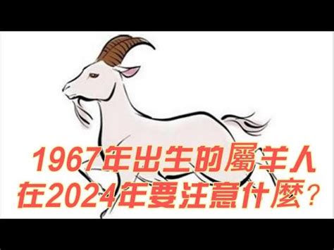 2024 羊 運勢